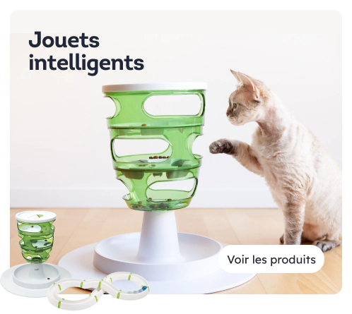 /chats/s_intelligent-interactif