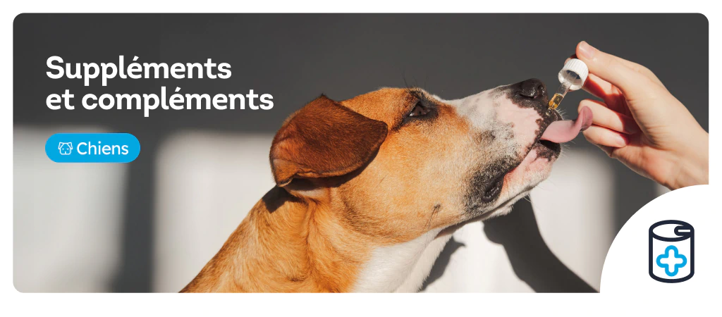 /chiens/c_complements-et-supplements