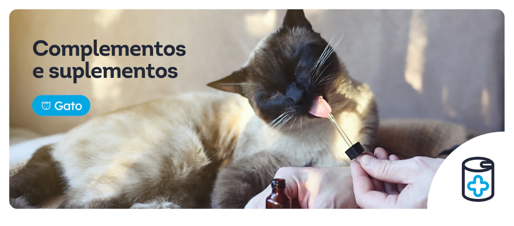 /gatos/c_complementos-suplementos