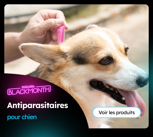 /chiens/c_antiparasitaires