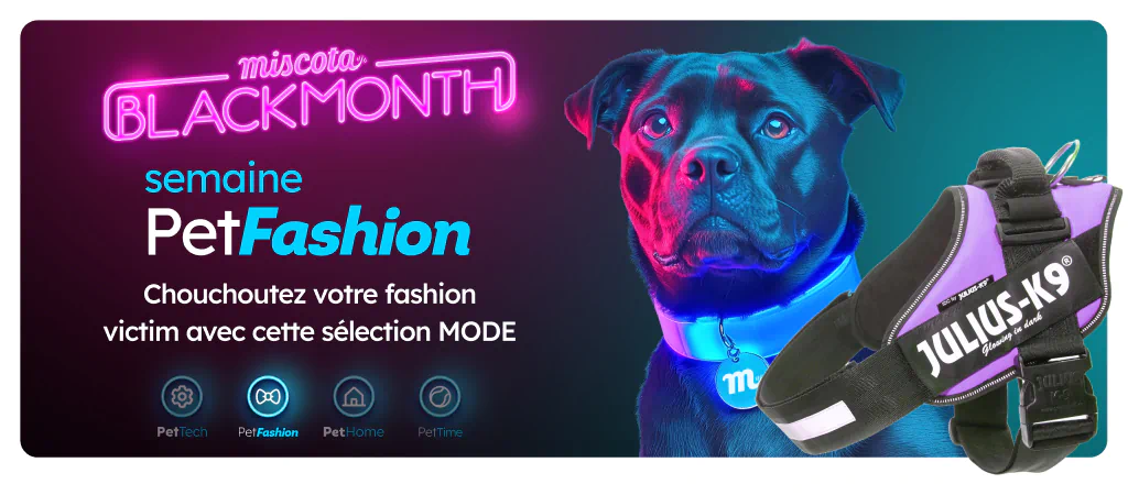 /c/noviembre-fashiondog