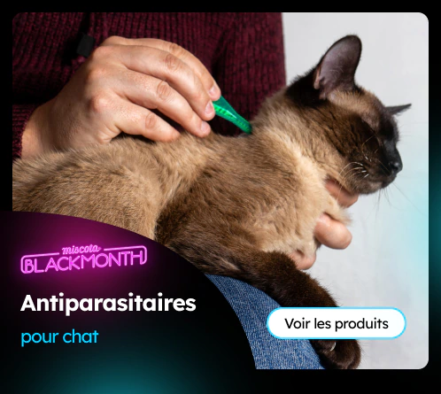 /chats/c_antiparasites