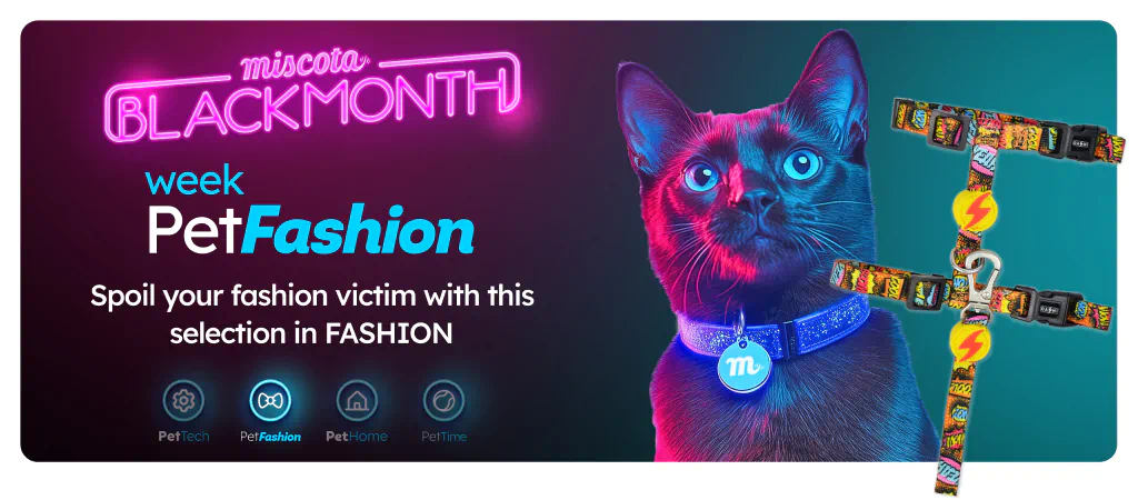 /c/noviembre-fashioncat