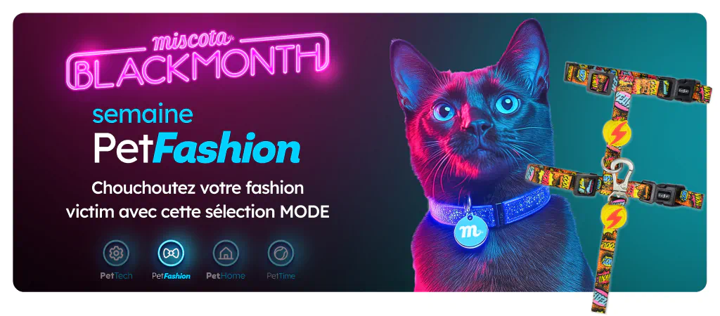 /c/noviembre-fashioncat