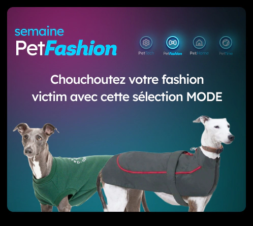 /c/noviembre-fashiondog