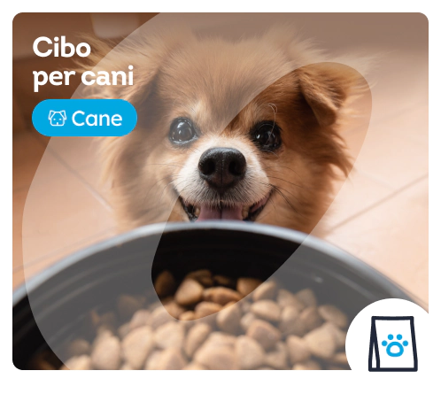 /cani/s_cibo-secco