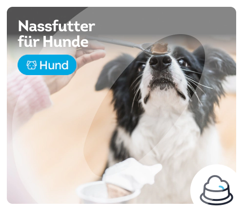 /hunde/s_nassfutter