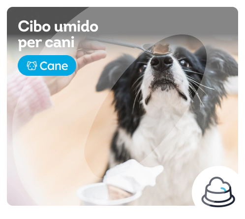 /cani/s_cibo-umido