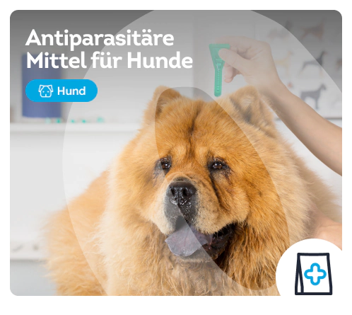 /hunde/c_wurmkuren