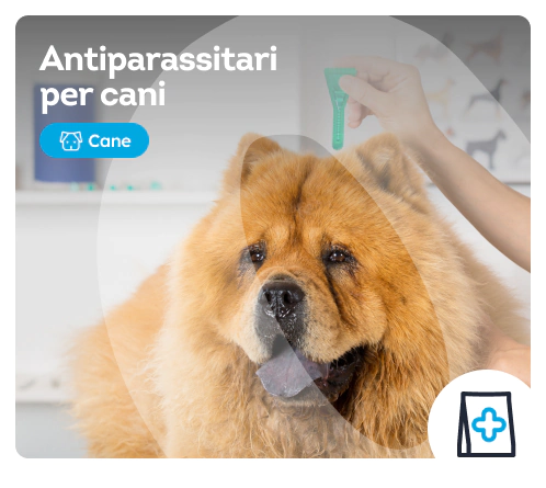 /cani/c_antiparassitari