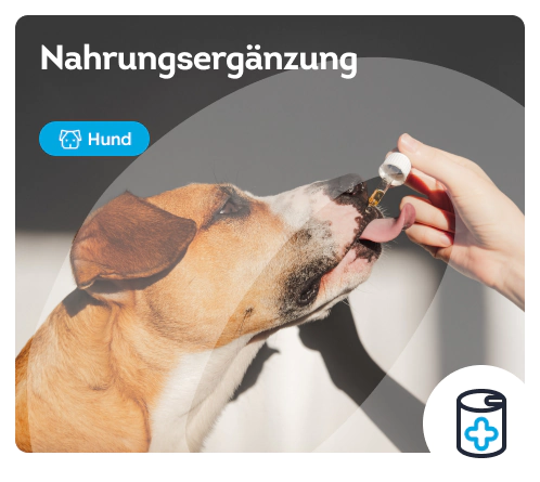 /hunde/c_nahrungsergaenzung