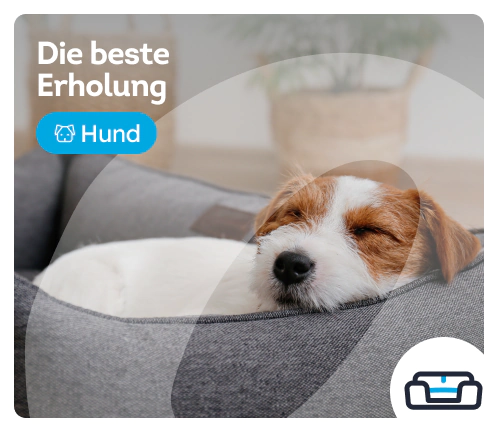 /hunde/c_erholen