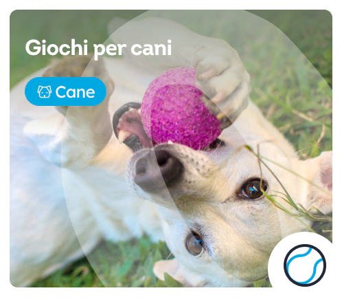 /cani/c_giochi-sport