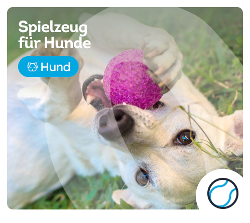 /hunde/c_spielzeug-und-sport