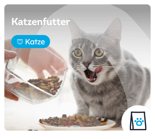 /katzen/s_trockenfutter-fuer-katzen