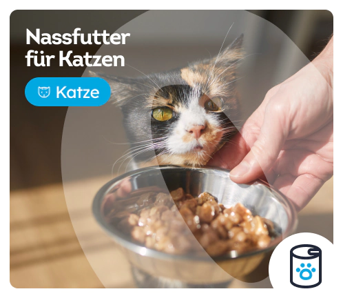 /katzen/s_nassfutter