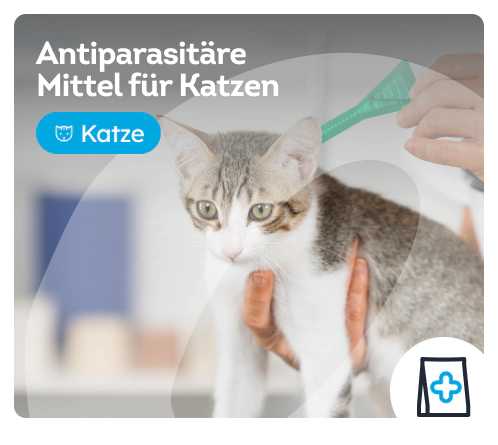 /katzen/c_antiparasitaer