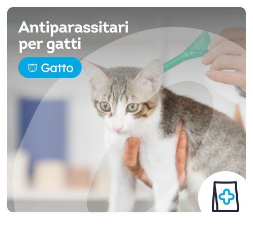 /gatti/c_antiparassitario