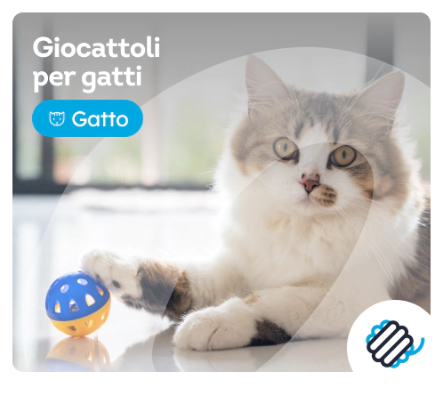 /gatti/c_giocattoli