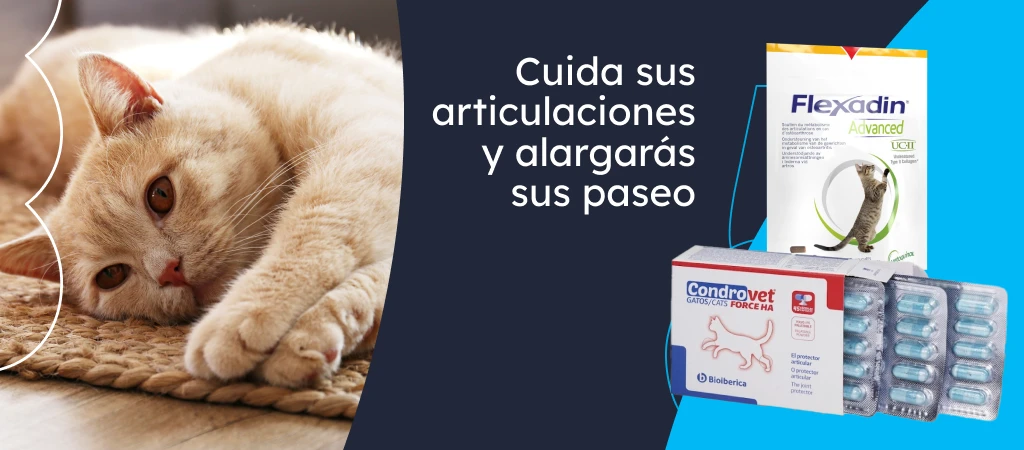 /gatos/c_complementos-suplementos