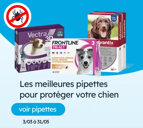 /chiens/s_pipettes