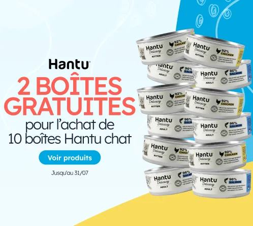 /gatos/s_comida-humeda_hantu