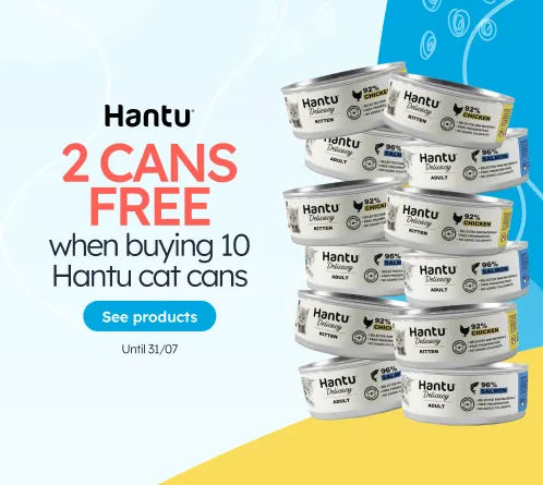 /gatos/s_comida-humeda_hantu