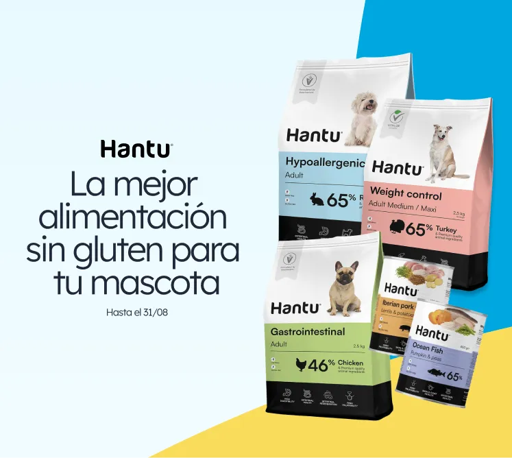 /c/agosto-hantu