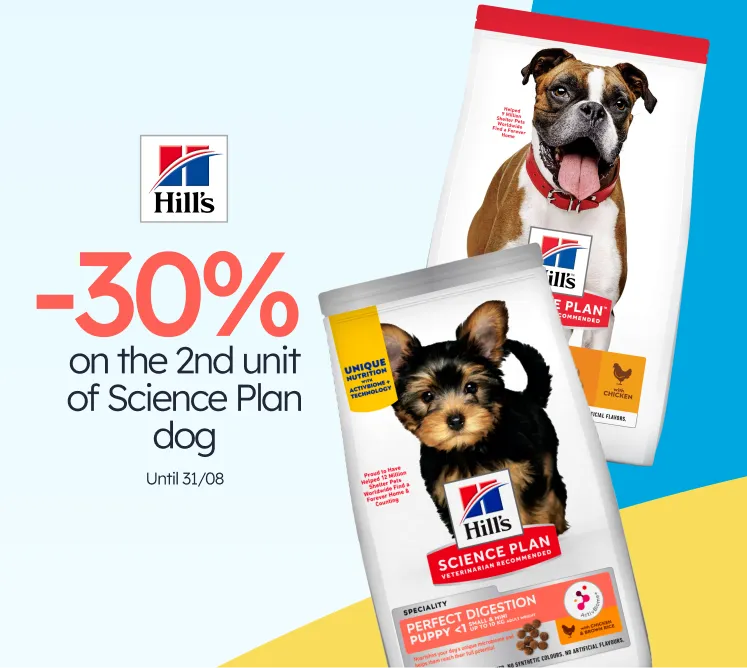 /c/agosto-hillsdog
