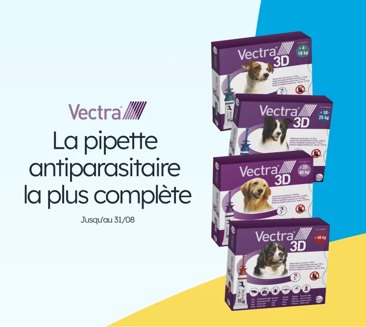 /c/agosto-vectra