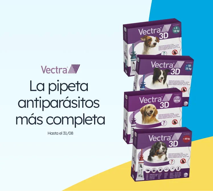 /c/agosto-vectra