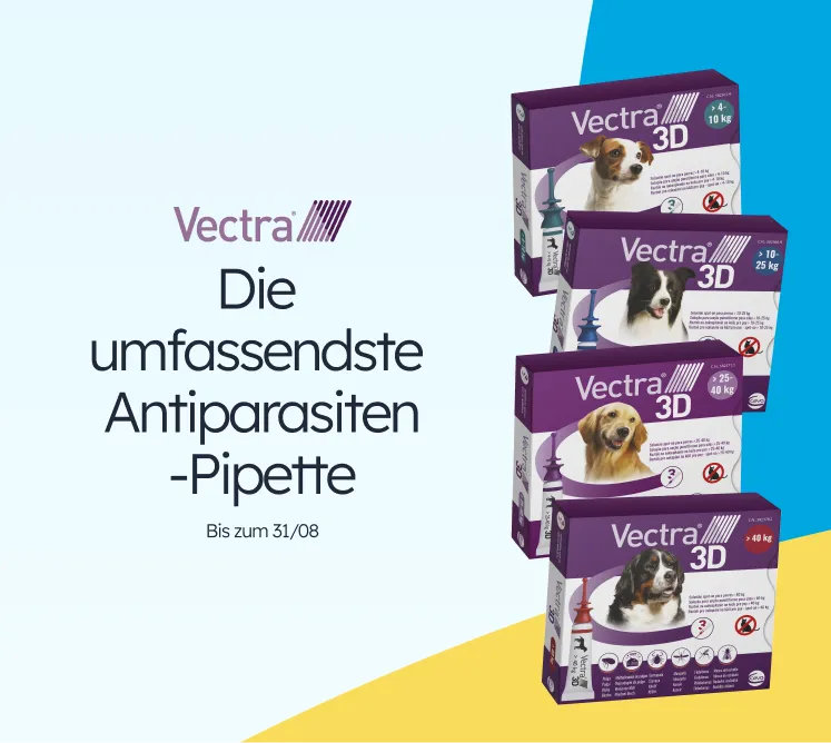 /c/agosto-vectra