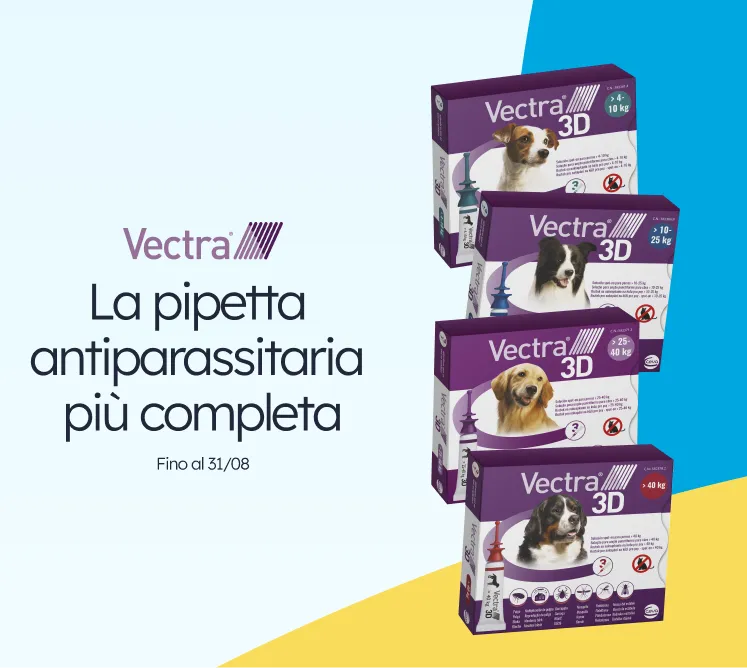 /c/agosto-vectra
