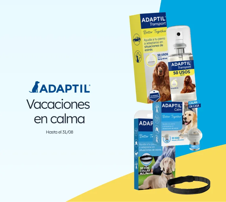 /c/agosto-adaptil