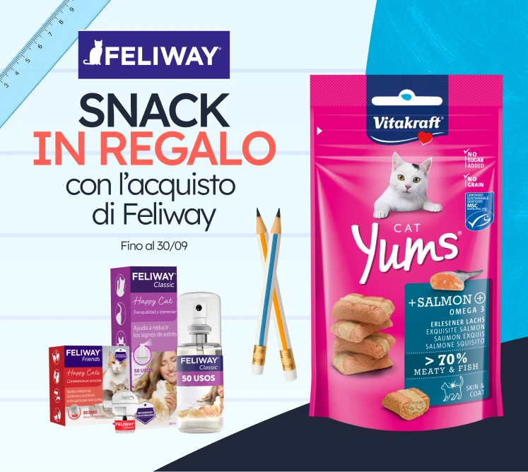 /c/septiembre-feliway