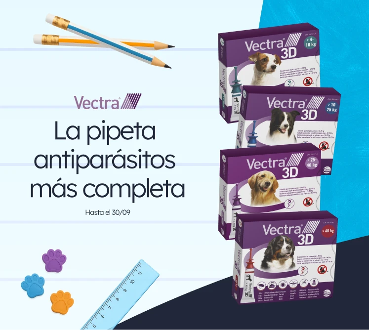 /c/septiembre-vectra