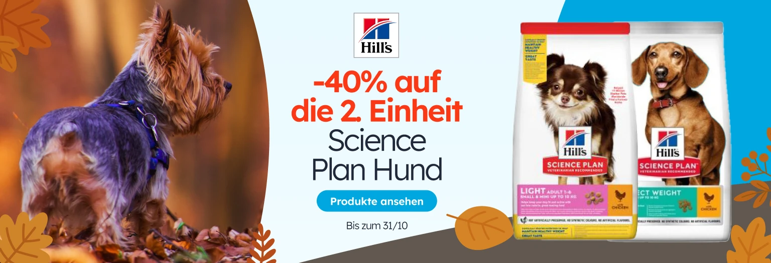 /c/octubre-hillsdog2-40?utm_source=home&utm_medium=banner&utm_campaign=octubre-hillsdog2-40&utm_cont