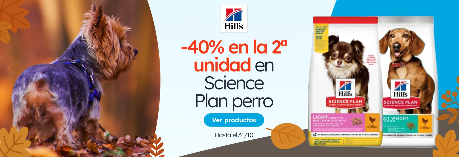 /c/octubre-hillsdog2-40?utm_source=home&utm_medium=banner&utm_campaign=octubre-hillsdog2-40&utm_cont