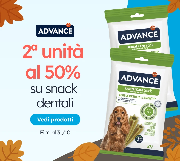 /c/octubre-advance?utm_source=home&utm_medium=banner&utm_campaign=octubre-advance&utm_content=medium