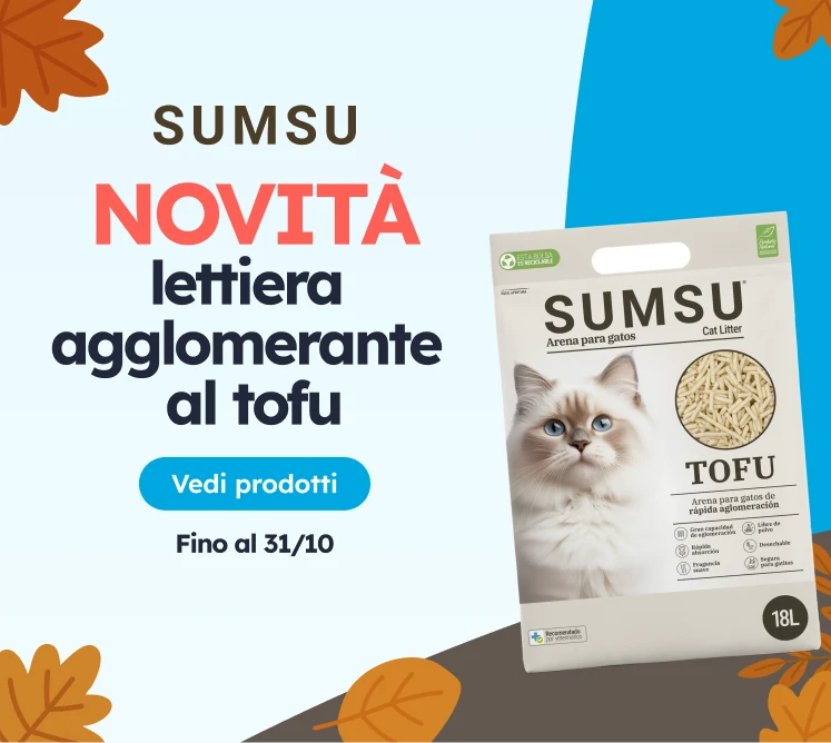 /c/octubre-sumsu?utm_source=home&utm_medium=banner&utm_campaign=octubre-sumsu&utm_content=medium-ban