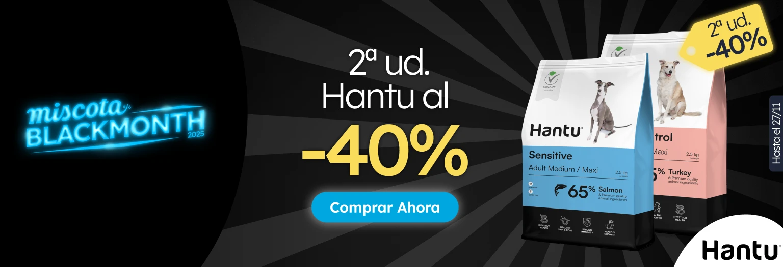 /c/noviembre-hantu-2-40