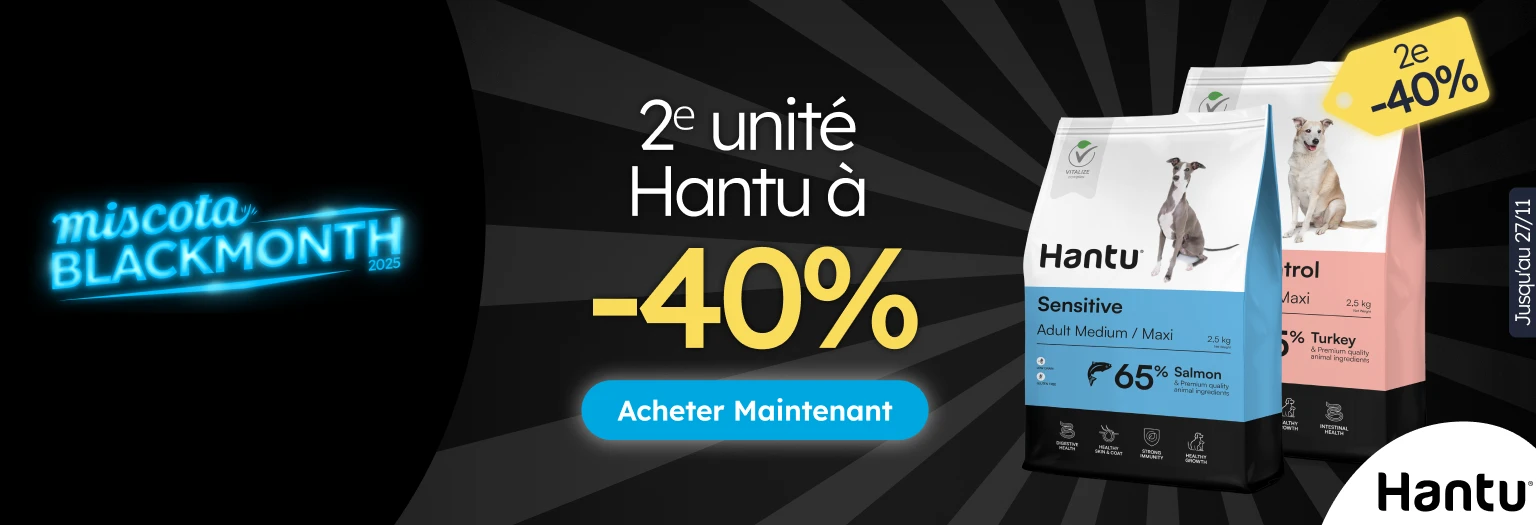 /c/noviembre-hantu-2-40