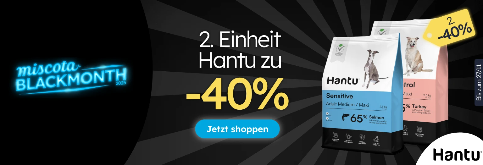 /c/noviembre-hantu-2-40