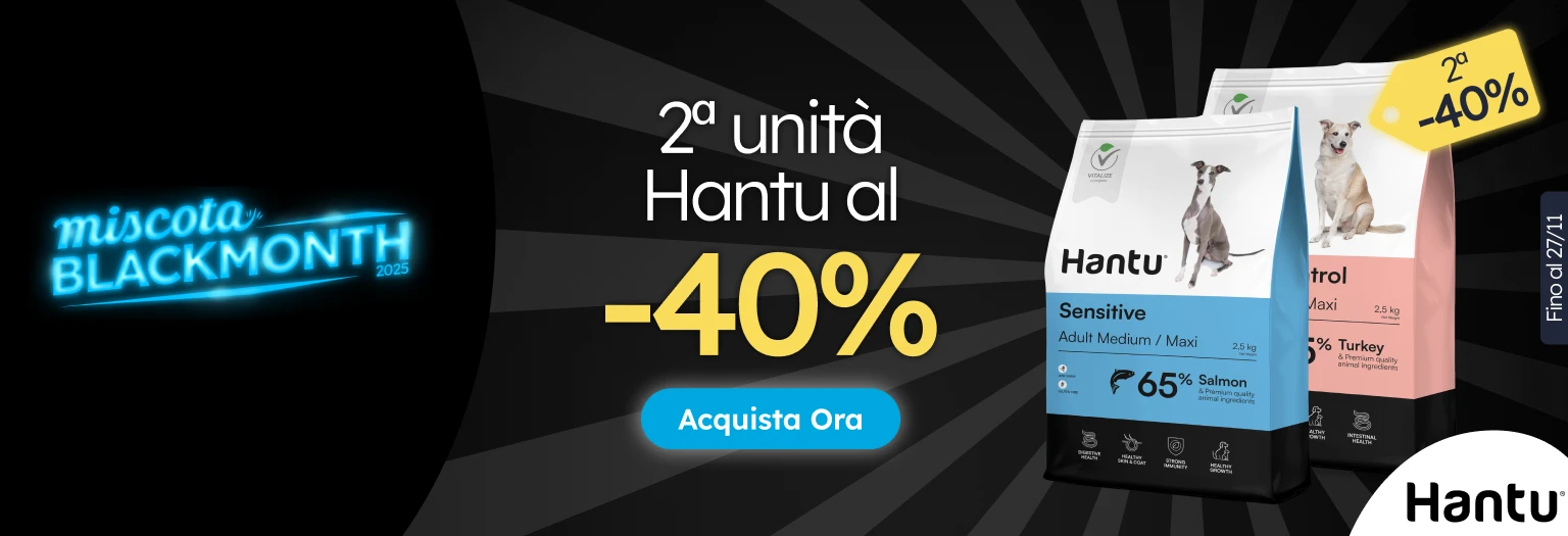 /c/noviembre-hantu-2-40