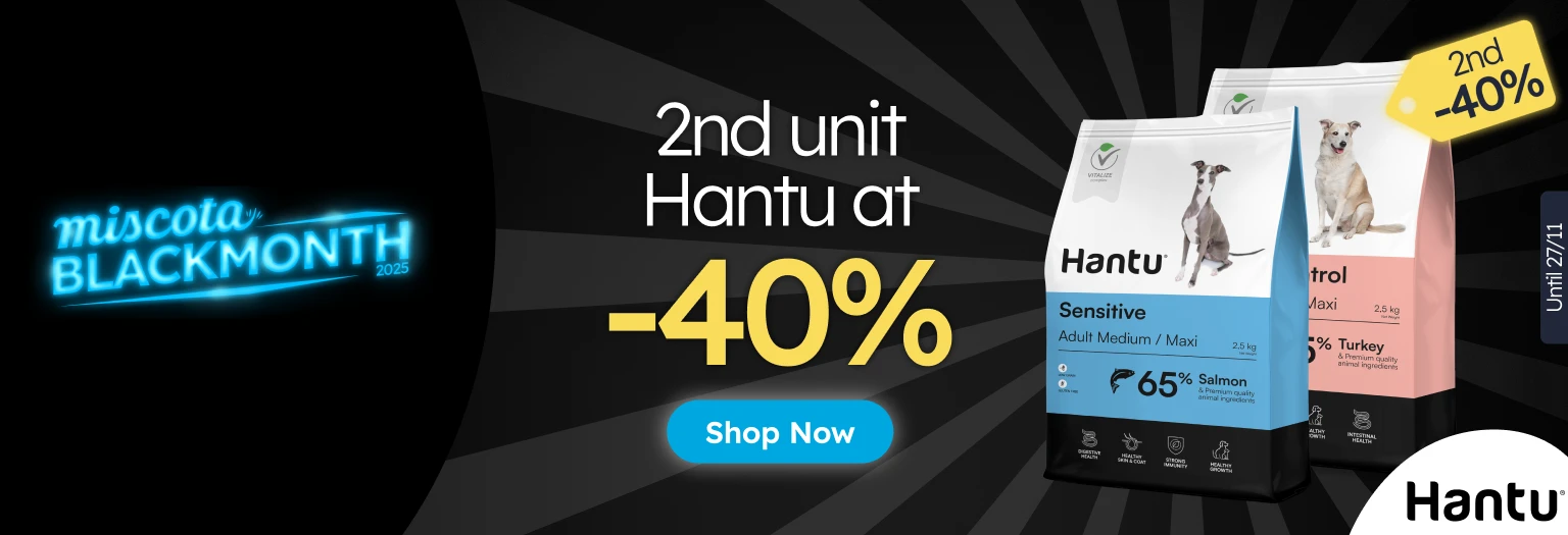 /c/noviembre-hantu-2-40