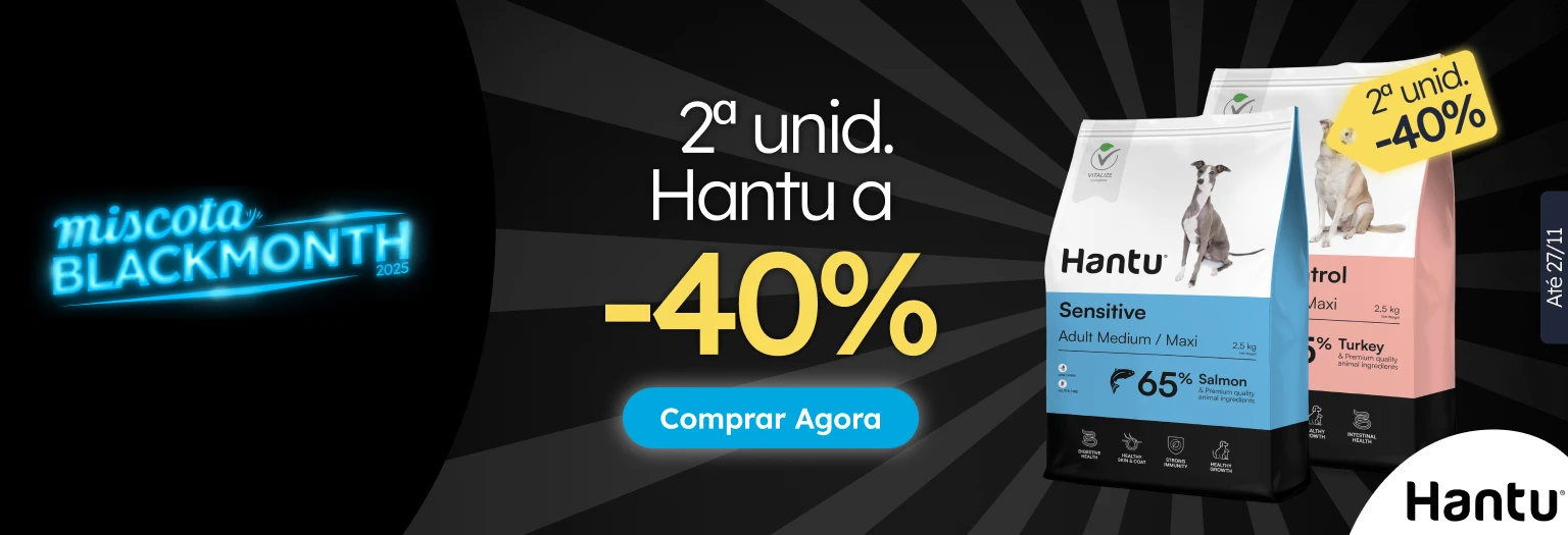 /c/noviembre-hantu-2-40