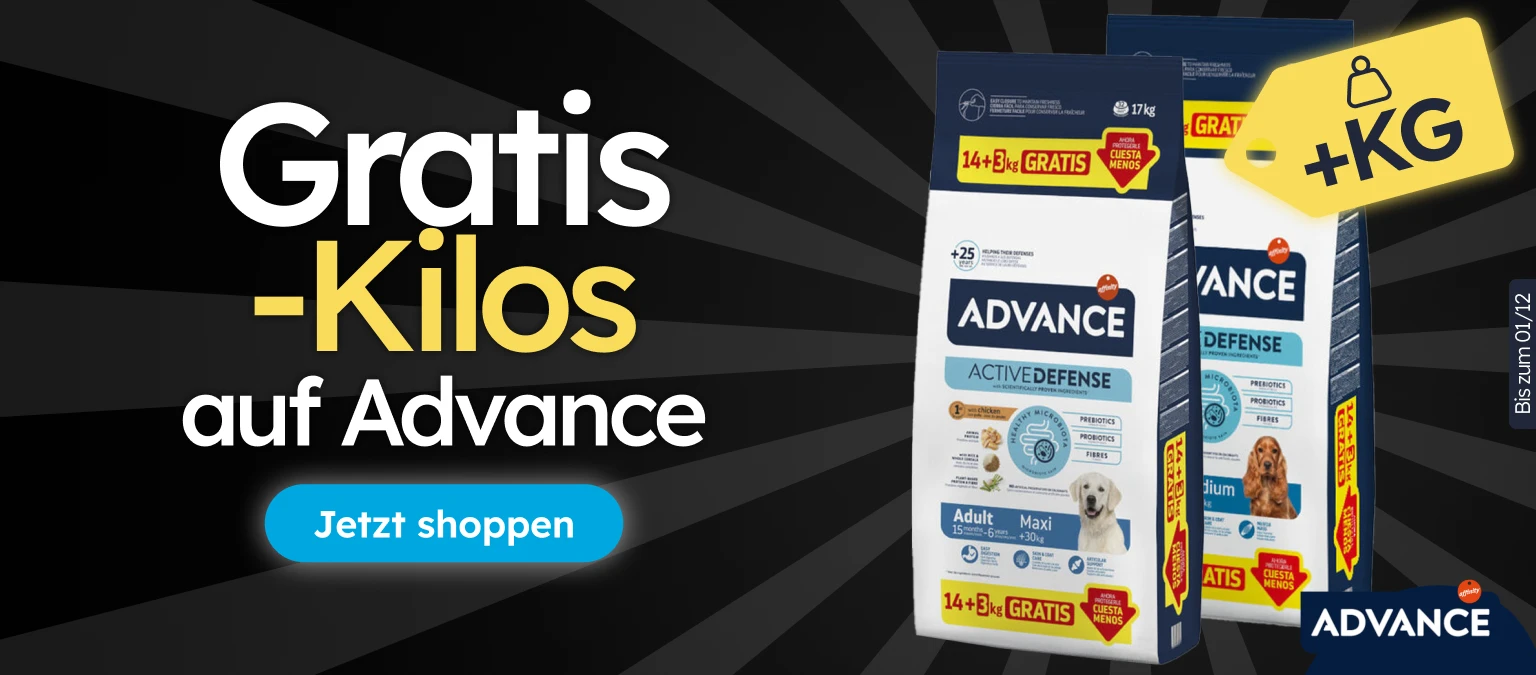 /c/noviembre-advance-kgfree