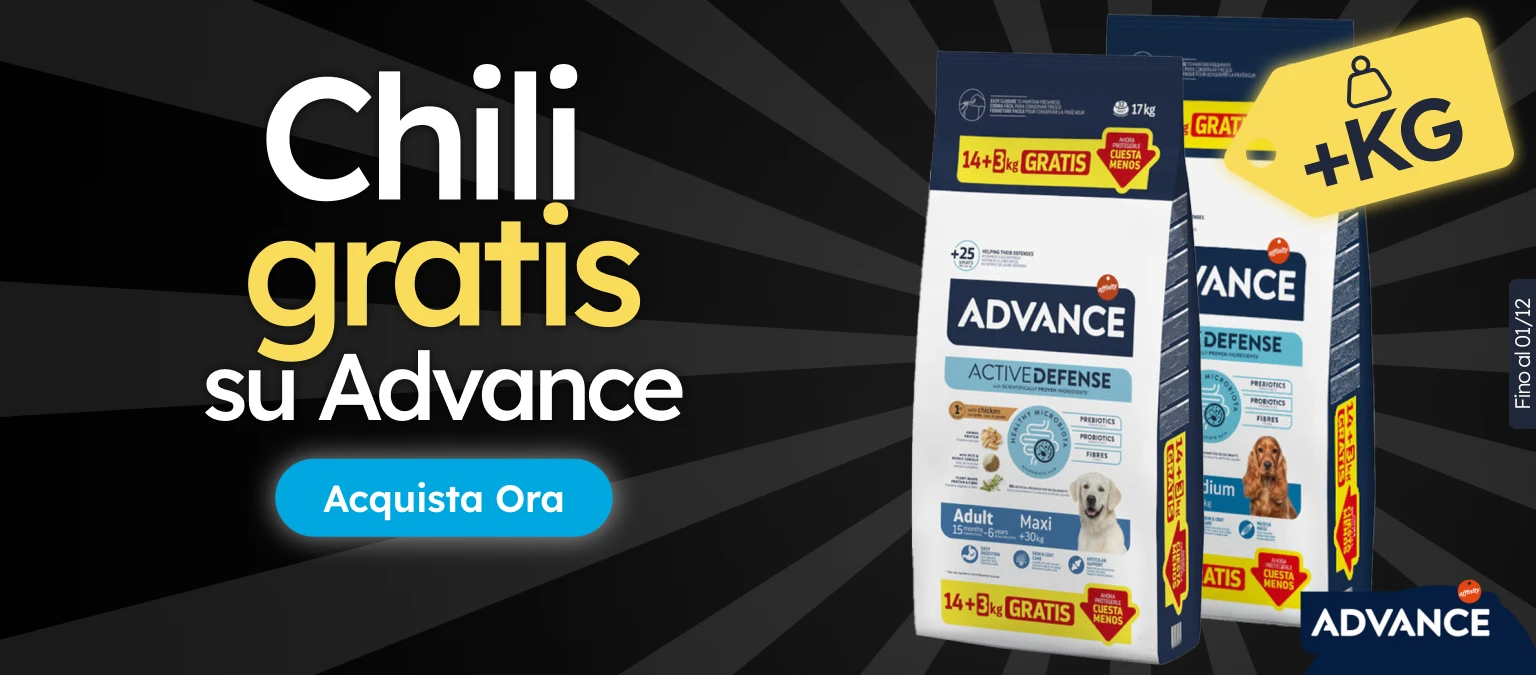 /c/noviembre-advance-kgfree