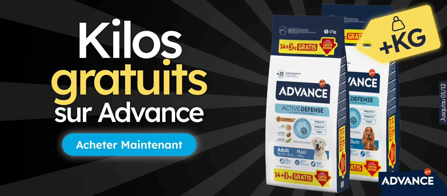 /c/noviembre-advance-kgfree