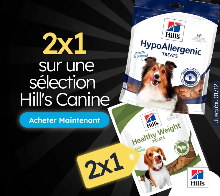 /c/noviembre-hills-2x1